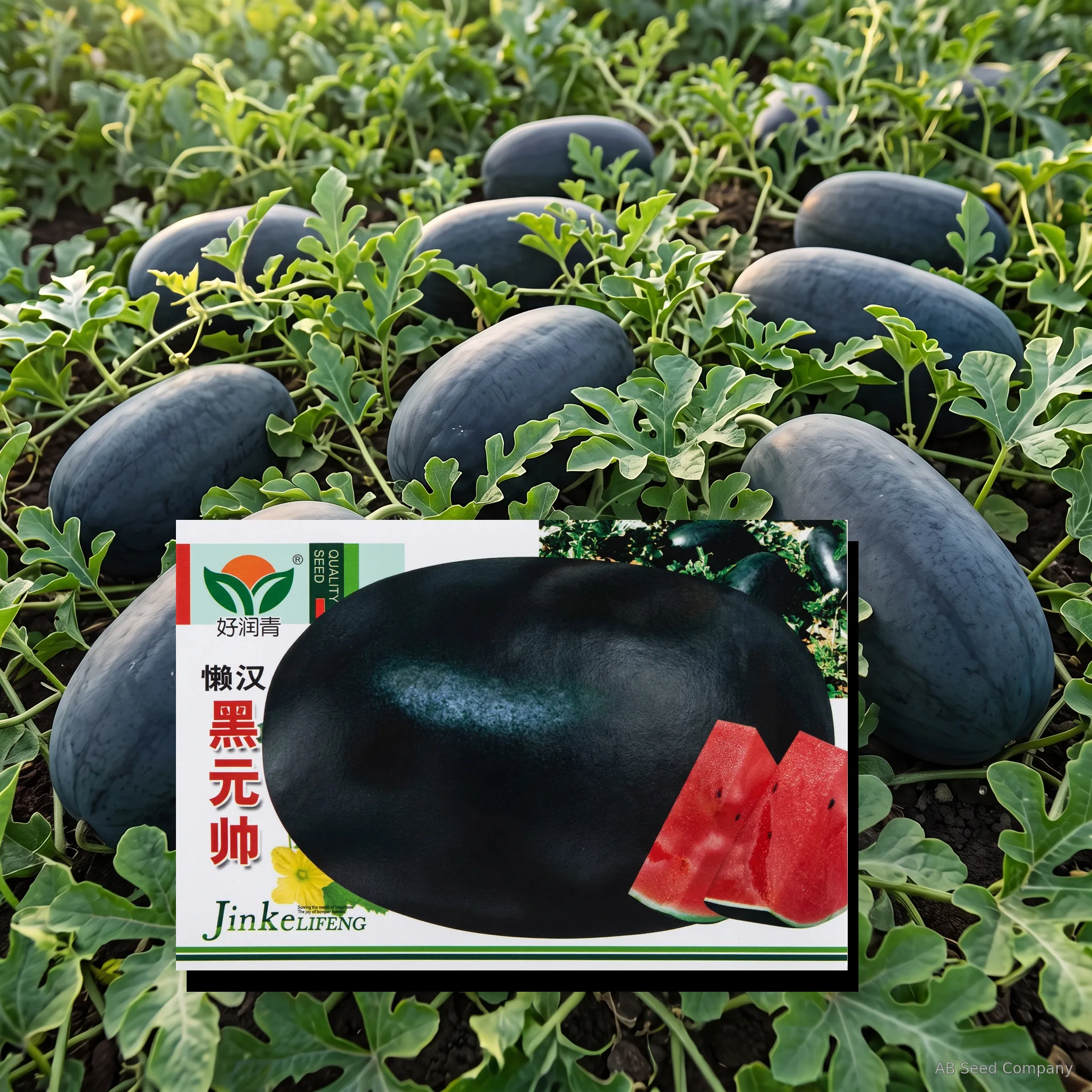 বিদেশি তরমুজের বীজ- Black 01